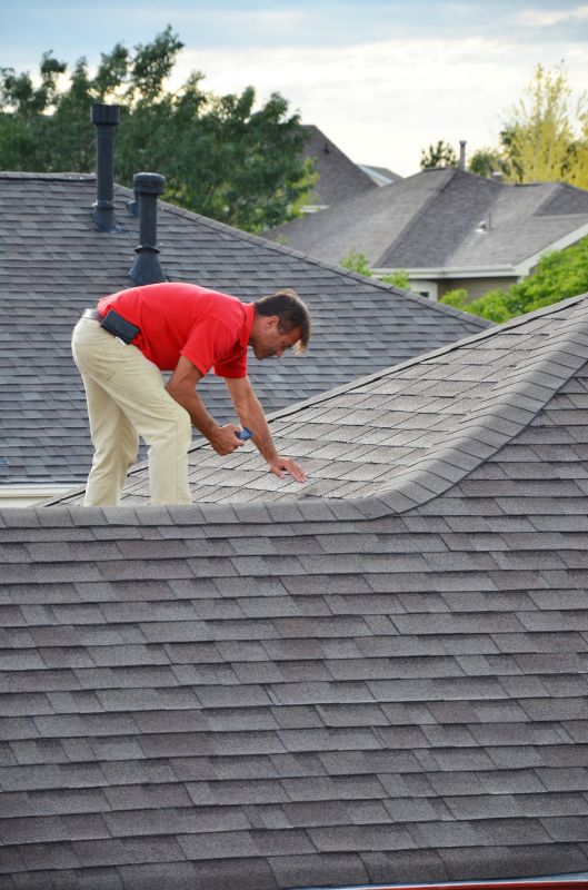 Roof Maintenance Services
